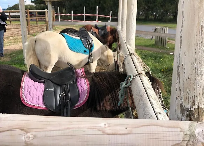 Mobil-home Campingplads *