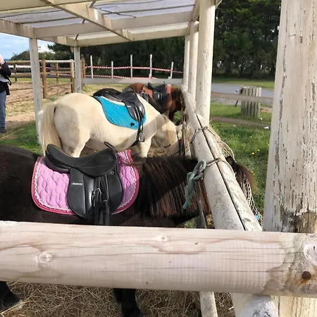 Mobil-home Campeggio *